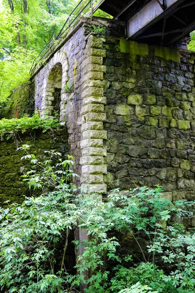 Ormanla çevrili eski taş köprüsünün sütunu.