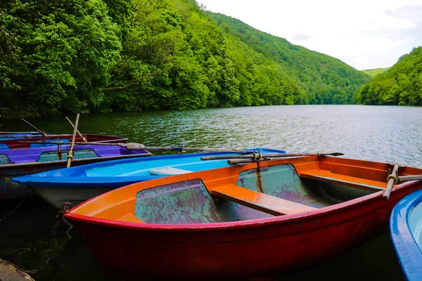 Pequenos barcos de recreio no lago rodeado por vegetação . — Fotografia de Stock