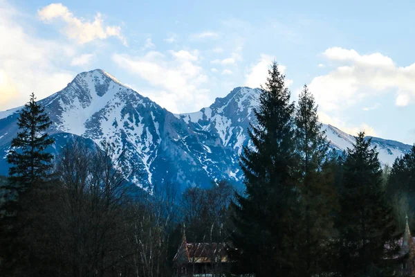 Ormandan Yüksek Tatras dağlarının manzarası. High Tatras, Slovakya. — Stok fotoğraf