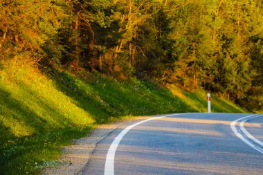 Ormanla çevrili gün batımında dağ yolunun manzarası.