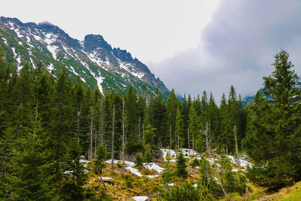 Vista das montanhas Tatra. Montanhas Tatra pela manhã . — Fotografia de Stock