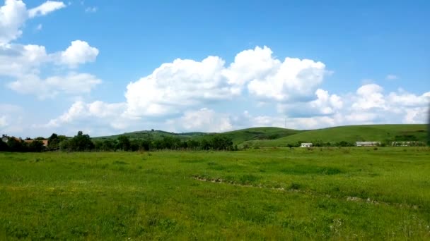 晴れた日の若い草のスローモーション 緑の草と美しい曇り空 — ストック動画