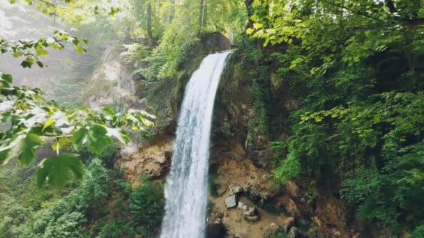 Uma Cachoeira Cercada Por Árvores Verdes Luz Rompe Árvores — Vídeo de Stock