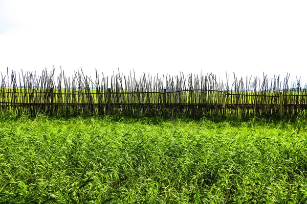 Vista de una valla rural sobre un fondo de vegetación . — Foto de Stock