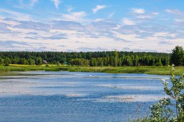 Arka plan ormanında küçük bir gölün görünümü, mavi gökyüzü, seçici odak.