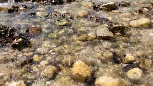 Helderberg Koud Water Stroomt Stenen Zon Mountain Creek — Stockvideo