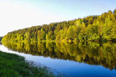 Su, sonbahar, doğa arka plan içinde ağaçların ve gökyüzünün yansıması.