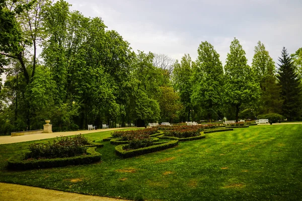 Kilátás a fiatal Park sétálni. Zöld fák, gyönyörű Virágágyak virágokkal, természet. — Stock Fotó