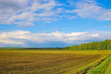 Yeşil çimenli, yollu ve bulutlu yaz manzarası.