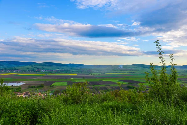 山の谷の緑豊かな丘。夏の風景. — ストック写真