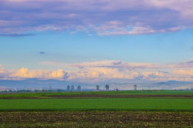 Dağ vadi yeşil tepelerde. Yaz manzara.