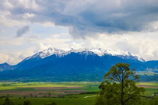 Blick auf ein grünes Feld, im Hintergrund ein Berg und große dunkle Wolken. — Stockfoto