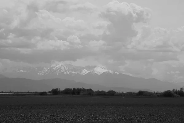 Doğanın siyah-beyaz fotoğrafı, tarla, bulutlarla gökyüzü. — Stok fotoğraf