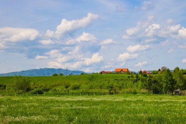 Küçük tepelerdeki yeşil çayır ve bulutlu mavi gökyüzü.