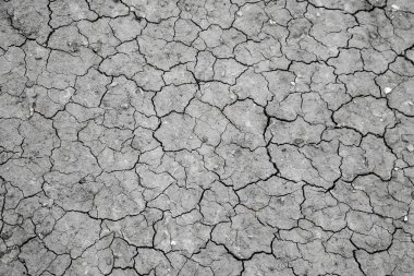 Romanya 'nın Buzau kenti yakınlarında çamurlu volkanlar Paclele Mari. Çamur ve doğal gaz patlamaları doğal rezervlerde küçük volkanlar oluşturur. Odaklanamıyorum.