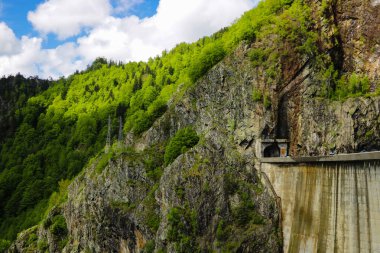 Vidraru Barajı Romanya 'da bir baraj. 1966 yılında Arge Nehri 'nde tamamlandı ve Vidraru Gölü' nü oluşturdu. Kemer barajı birincil amacı hidroelektrik üretmek için yapıldı..