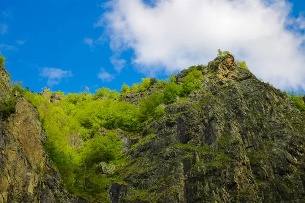 Vista dos picos das montanhas, coberto com vegetação, contra o céu azul . — Fotografia de Stock