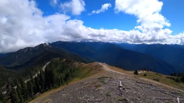 Prachtig uitzicht op bergwegen in Amerika. — Stockvideo