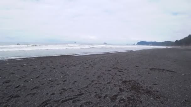 Tmavé pláže pobřeží Tichého oceánu v Americe. — Stock video