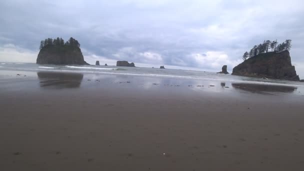 Prachtig Uitzicht Pacifische Kust Amerika Californië — Stockvideo