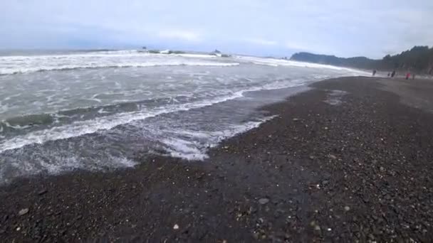 Costa Pacífico Numa Manhã Nebulosa Pessoas Andam Longo Costa — Vídeo de Stock