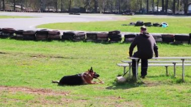Bir adam bankta oturuyor. Yakınlarda bir köpek uzanıyor ve bir kemiği kemiriyor..
