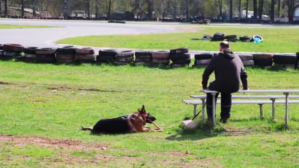 Hombre Está Sentado Banco Cerca Yace Perro Roe Hueso — Vídeo de stock