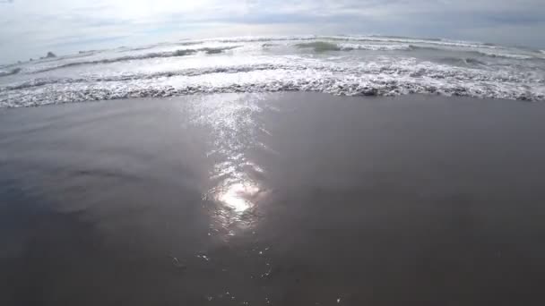 Pobřeží Tichého Oceánu Silné Vlny Zamračený Den — Stock video