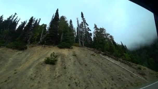 Blick Von Einem Fahrenden Auto Auf Einen Hohen Grünen Wald — Stockvideo