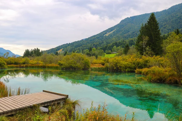Beautiful Nature Reserve Lake Zelenci Slovenia — Stock Photo, Image