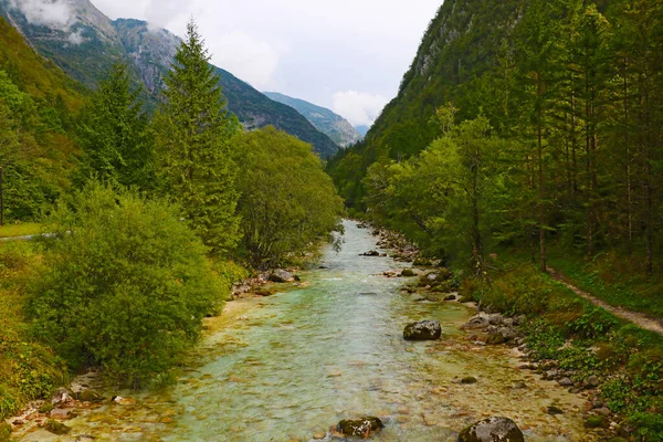 Paisaje Otoñal Del Río Bohinjka Con Agua Limpia Cerca Del —  Fotos de Stock