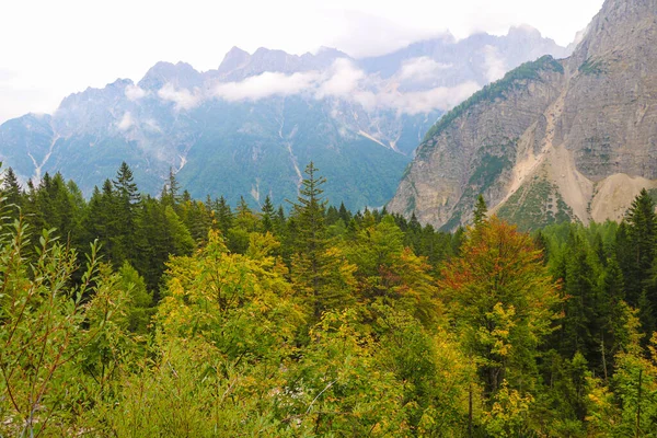 Misty Manhã Fria Alta Nas Montanhas Outono — Fotografia de Stock