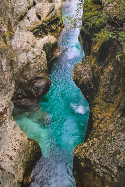 Canyon Profond Gorge Rivière Mostnica Bohinj Parc National Triglav Slovénie — Photo