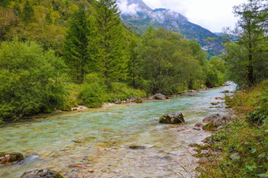 Slovenya 'daki Triglav ulusal parkında Kranjska gorası yakınlarındaki Krnica vadisinde renkli Krnica nehri