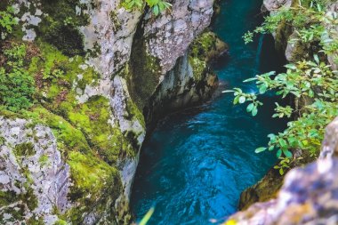 Slovenya 'daki Triglav ulusal parkı: dağlar, zümrüt nehirleri, ormanlar