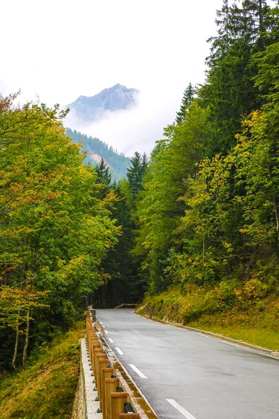 Belle Route Montagne Dans Les Montagnes Automne Concentration Sélective — Photo