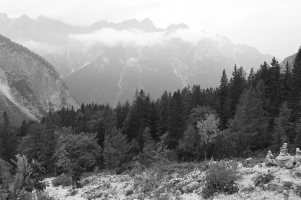 Matin Froid Brumeux Haut Dans Les Montagnes Automne — Photo