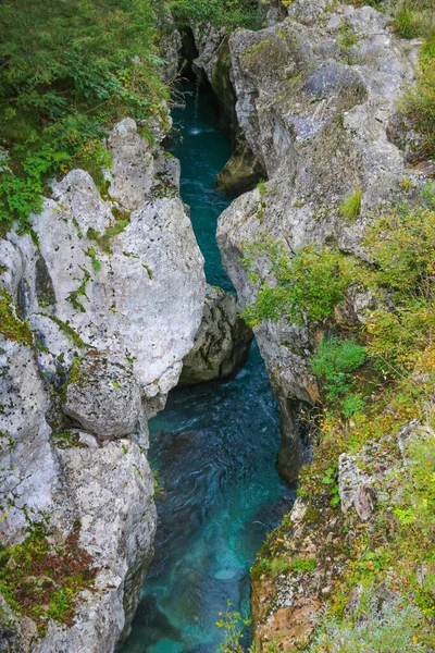 Parc National Triglav Slovénie Montagnes Rivières Émeraudes Forêts — Photo