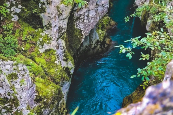 スロベニアのトリグラフ国立公園 エメラルド川 — ストック写真