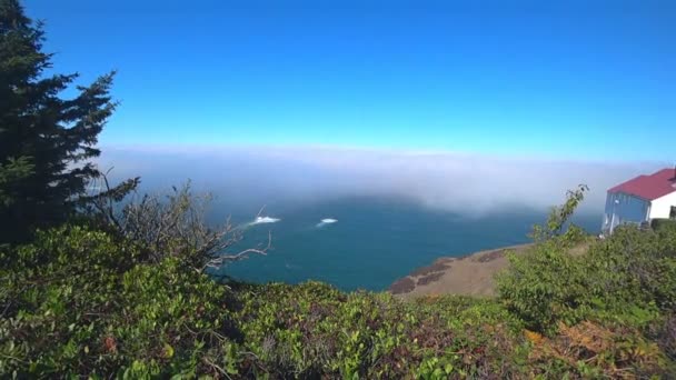 雾蒙蒙的加利福尼亚海岸 — 图库视频影像