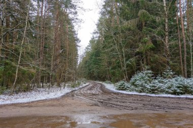 İlkbaharın başında ya da sonbaharın sonunda orman yolu. Yol sorunu