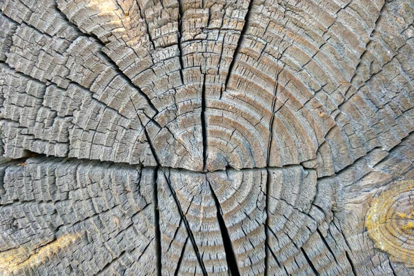 Кусочек Старого Дерева Фон Текстура — стоковое фото