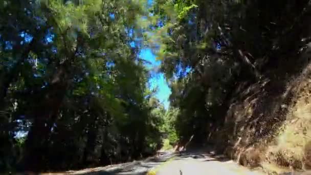 Prachtig Uitzicht Vanaf Auto Rijdend Langs Bergbosweg Het Yosemite Nationaal — Stockvideo