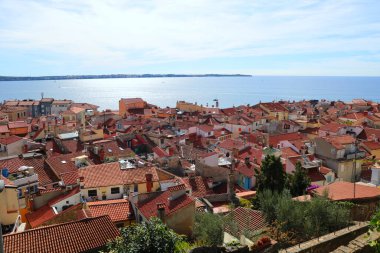 Slovenya 'nın Piran kentindeki kırmızı kiremitli ve deniz manzaralı evler