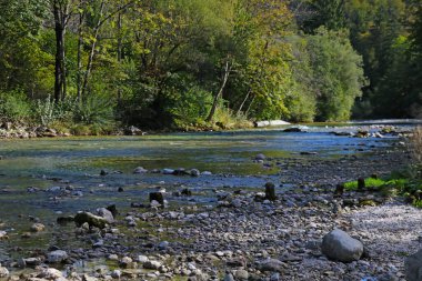 Slovenya 'da sonbaharda küçük bir dağ nehri