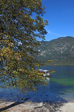 Triglav Ulusal Parkı 'ndaki Bohinj Gölü' nde Sabah Slovenya, Alpler, Avrupa