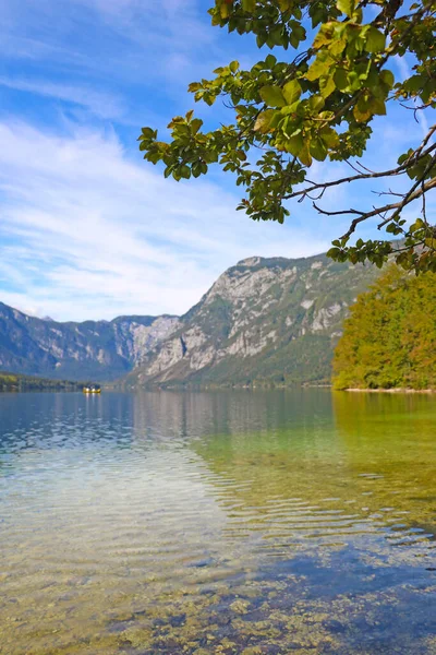 Чудовий Краєвид Озера Бохіндж Літній Час Національний Парк Словенії — стокове фото