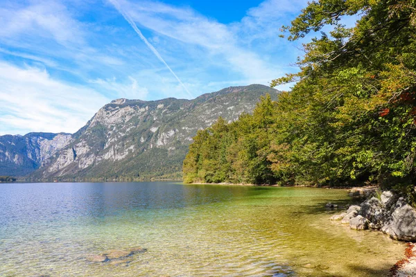 Берег Озера Бохіндж Гірськими Краєвидами Словенії — стокове фото