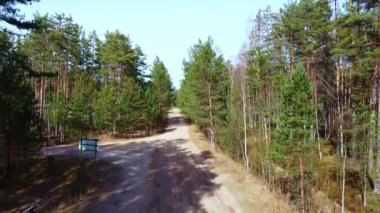 Yeşil Ladin Ormanı üzerinde İHA uçuşu. Hava fotoğrafçılığı.
