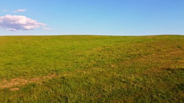 Flug Über Ein Grünes Hügeliges Feld Luftaufnahmen — Stockvideo